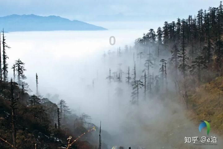 邹平市紧盯重点齐发力 全力打好污染防治攻坚战