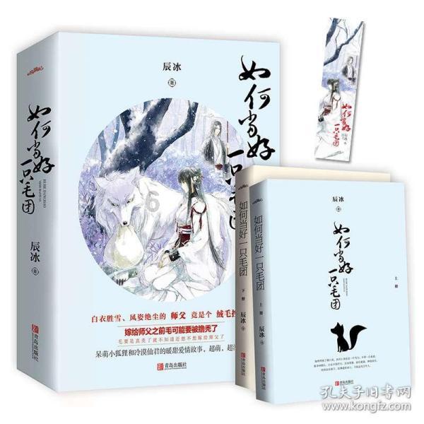 彩丽公主日常装扮