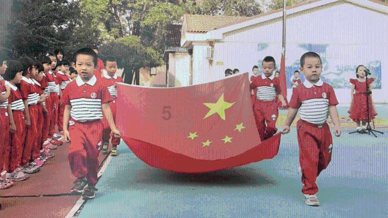 饥饿的松鼠救援