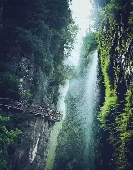 驻华使节龙江行：“尔滨”，你好！